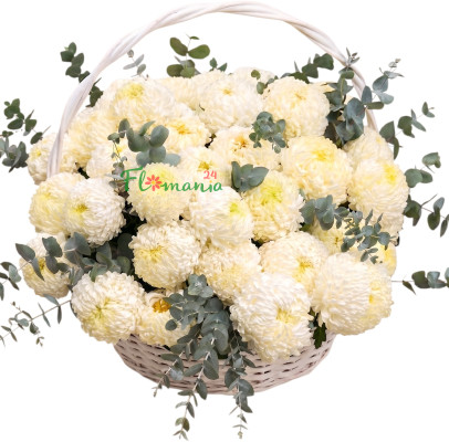 Корзина с белыми хризантемами и эвкалиптом «Шепот ветра»
